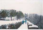 Inverno 1986-87